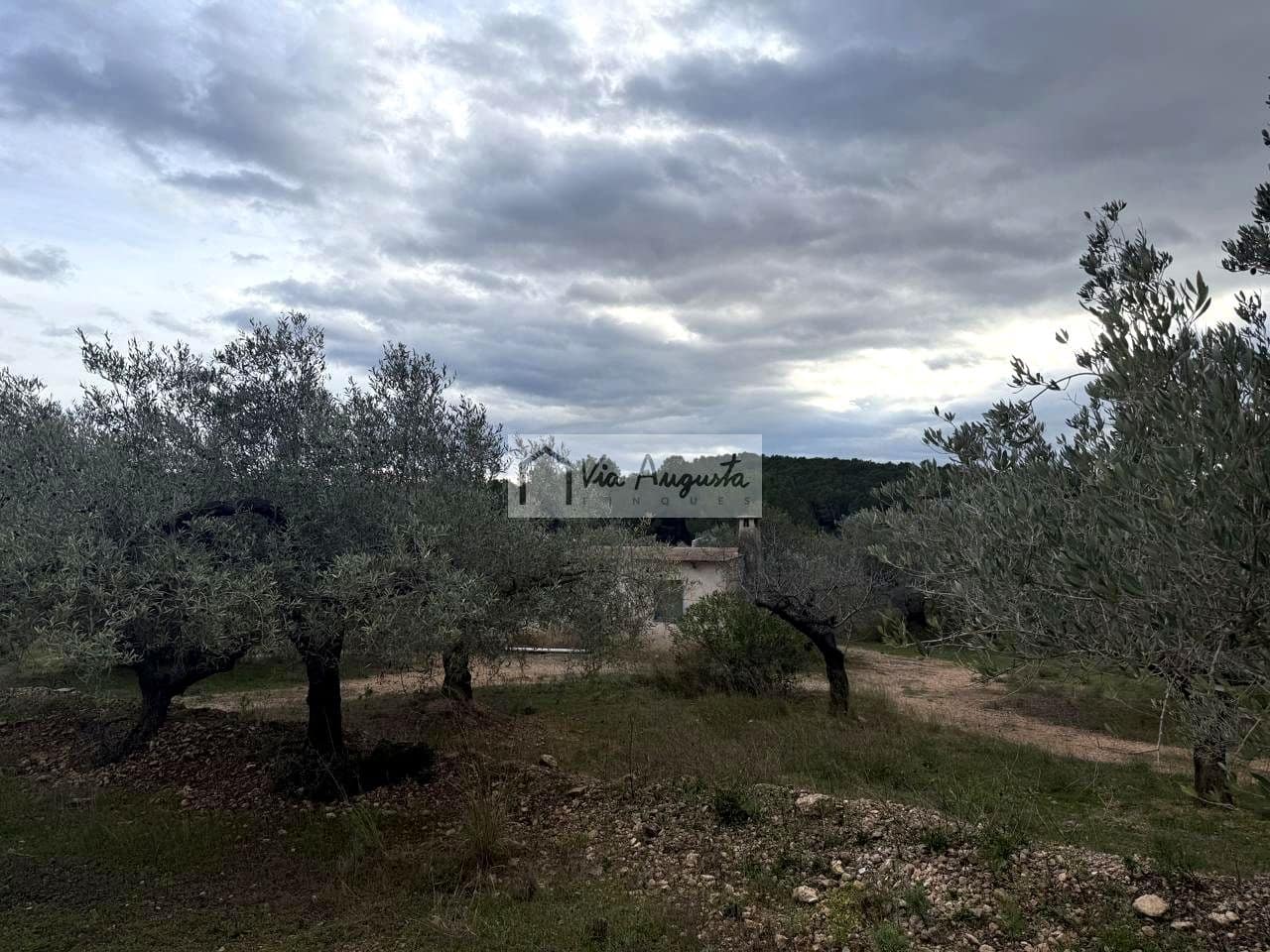 Rakentamaton maa myytävänä paikassa L'Ametlla de Mar - 189 000 € (Ref: 9413203)