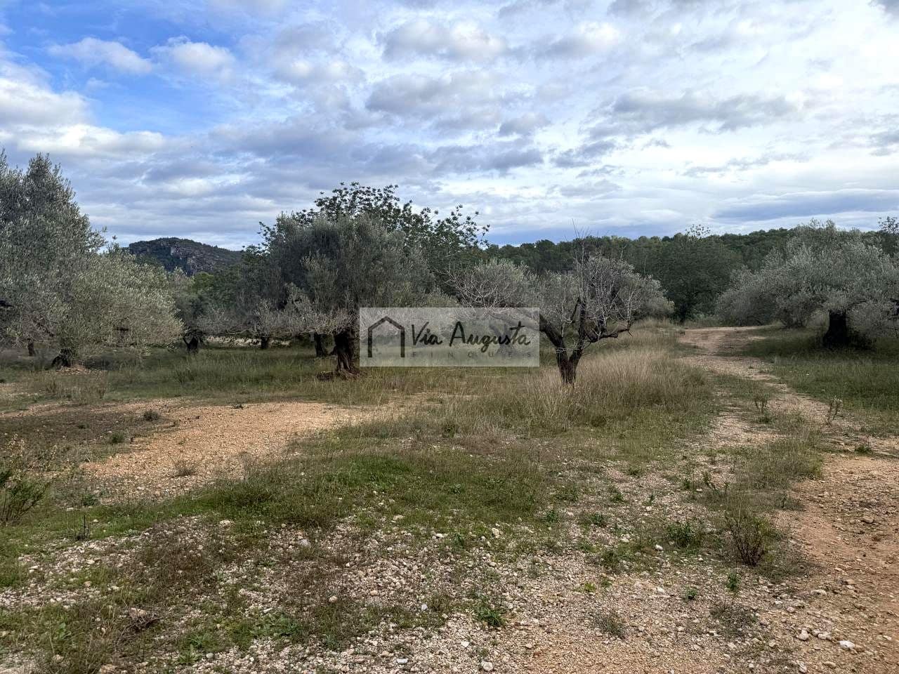 Rakentamaton maa myytävänä paikassa L'Ametlla de Mar - 189 000 € (Ref: 9413203)