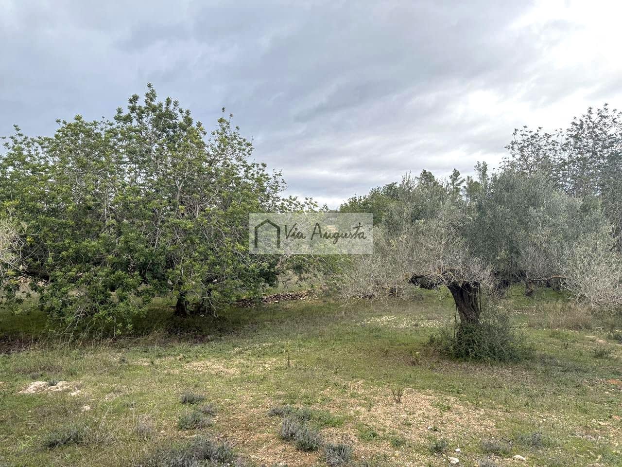 Rakentamaton maa myytävänä paikassa L'Ametlla de Mar - 189 000 € (Ref: 9413203)