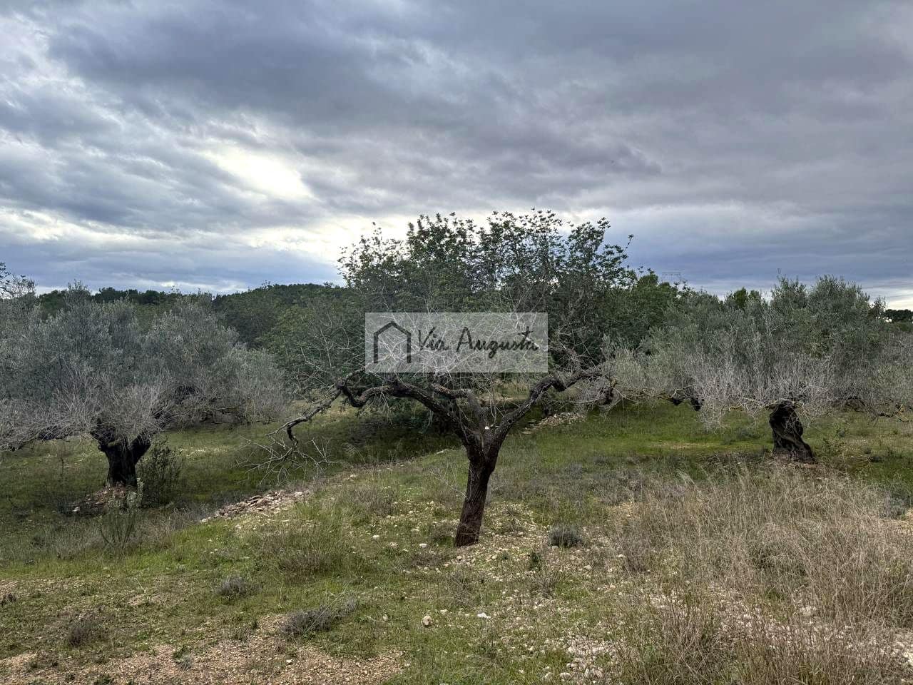 Rakentamaton maa myytävänä paikassa L'Ametlla de Mar - 189 000 € (Ref: 9413203)