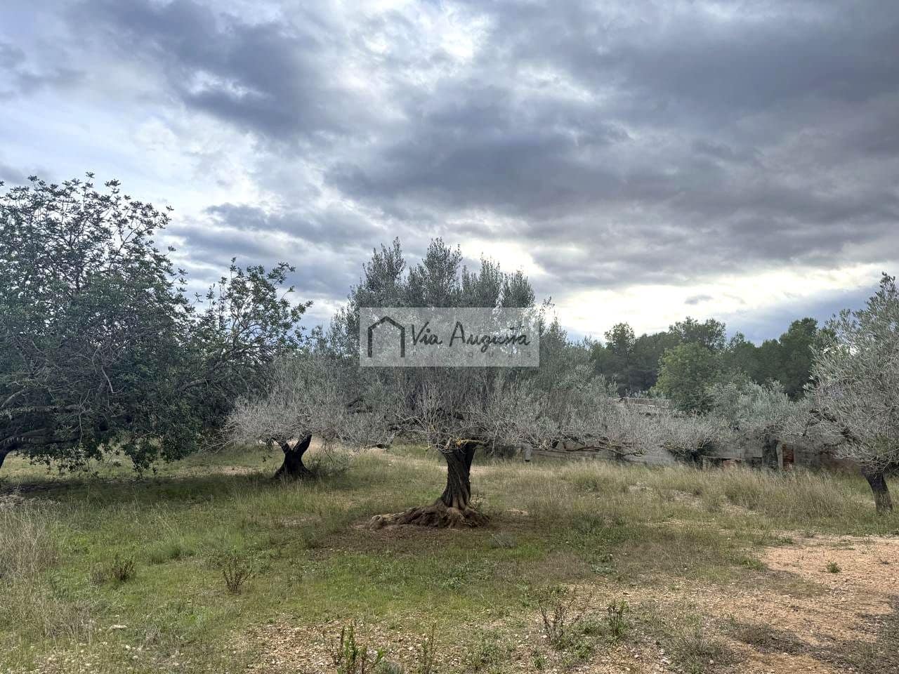 Rakentamaton maa myytävänä paikassa L'Ametlla de Mar - 189 000 € (Ref: 9413203)