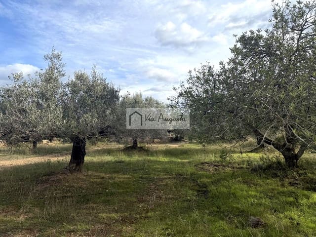 Rakentamaton maa myytävänä paikassa L'Ametlla de Mar - 189 000 € (Ref: 9413203)