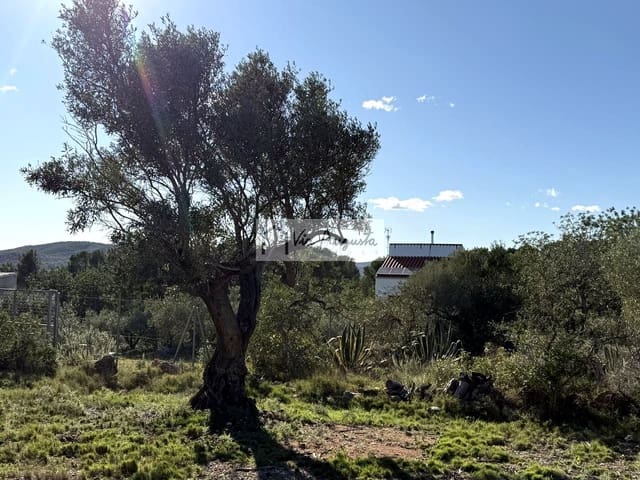 Rakentamaton maa myytävänä paikassa L'Ametlla de Mar - 38 600 € (Ref: 9414782)