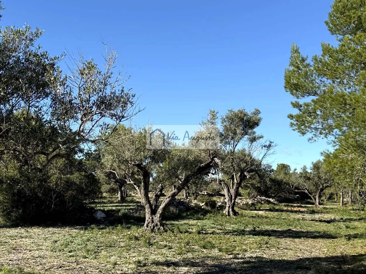 Grond te koop in L'Ametlla de Mar - € 38.600 (Ref: 9414782)