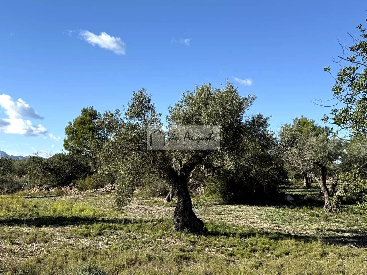 Grond te koop in L'Ametlla de Mar - € 38.600 (Ref: 9414782)