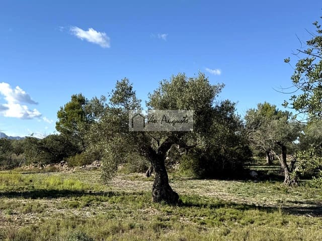 Rakentamaton maa myytävänä paikassa L'Ametlla de Mar - 38 600 € (Ref: 9414782)