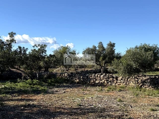 Rakentamaton maa myytävänä paikassa L'Ametlla de Mar - 38 600 € (Ref: 9414782)