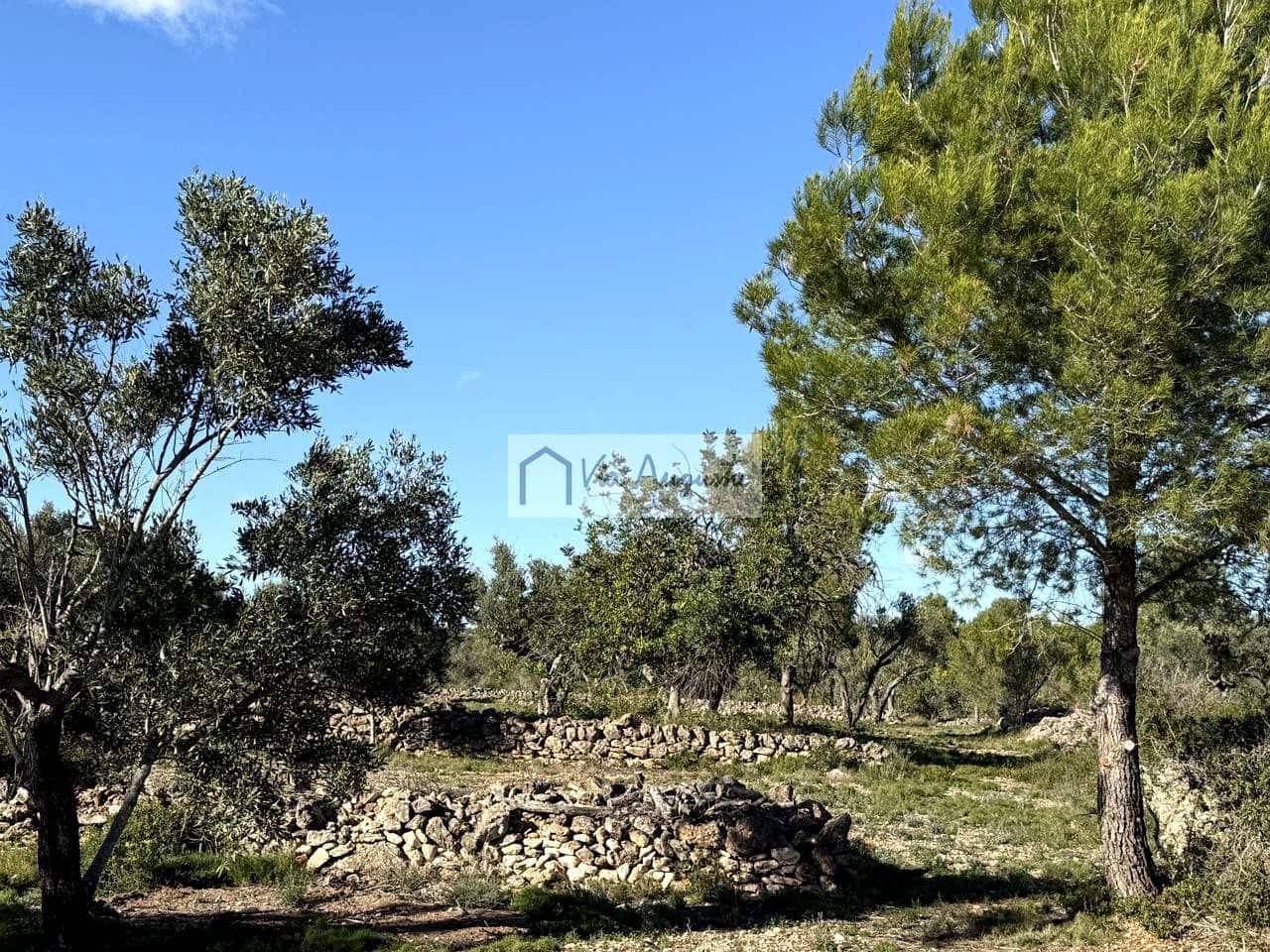 Grond te koop in L'Ametlla de Mar - € 38.600 (Ref: 9414782)