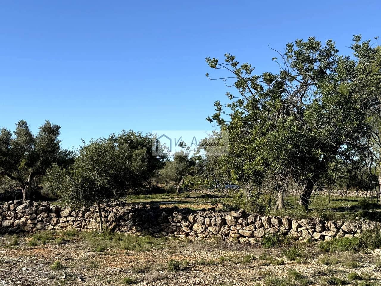 Grond te koop in L'Ametlla de Mar - € 38.600 (Ref: 9414782)