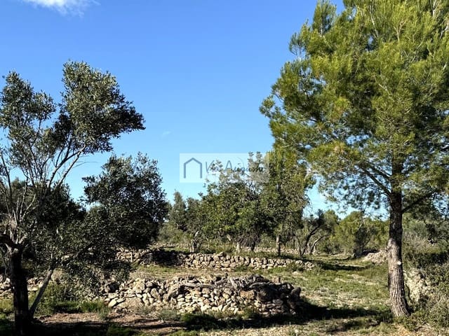 Rakentamaton maa myytävänä paikassa L'Ametlla de Mar - 38 600 € (Ref: 9414782)