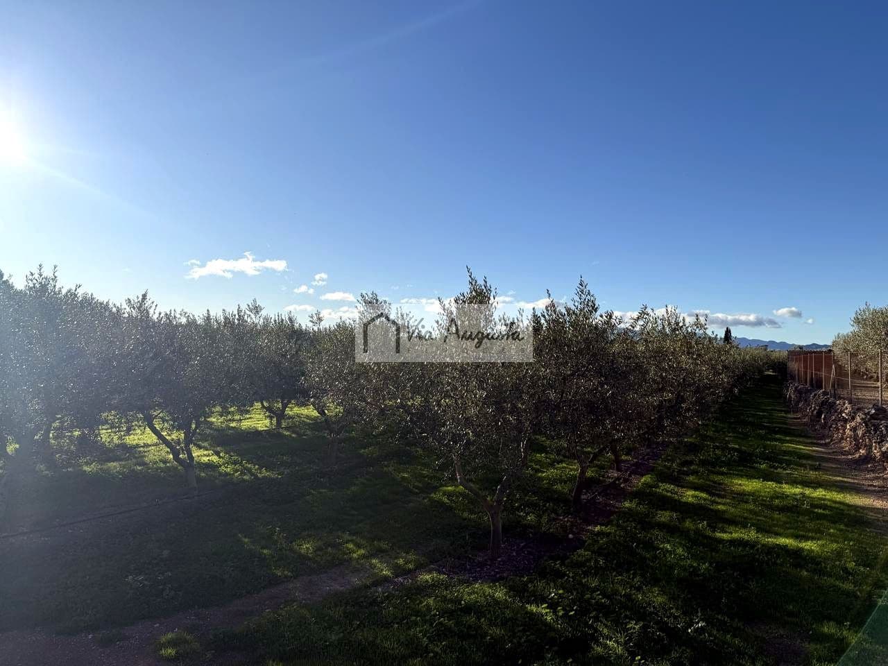 Mark till salu i Mora d'Ebre - 35 500 € (Ref: 9414783)