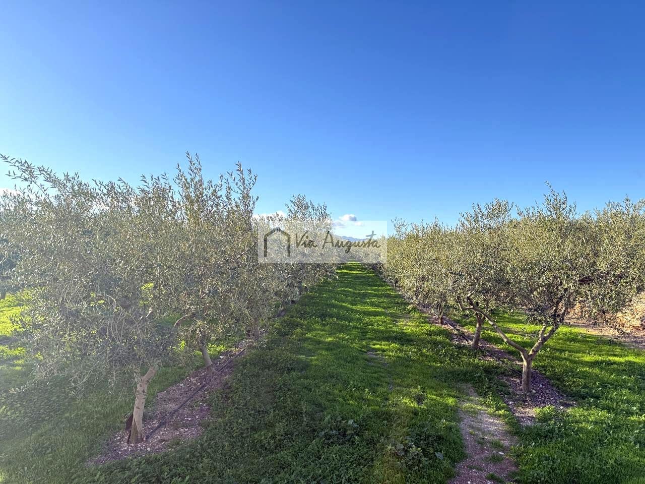 Mark till salu i Mora d'Ebre - 35 500 € (Ref: 9414783)