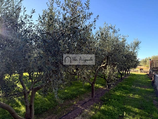 Undeveloped Land for sale in Móra d'Ebre - € 35,500 (Ref: 9414783)