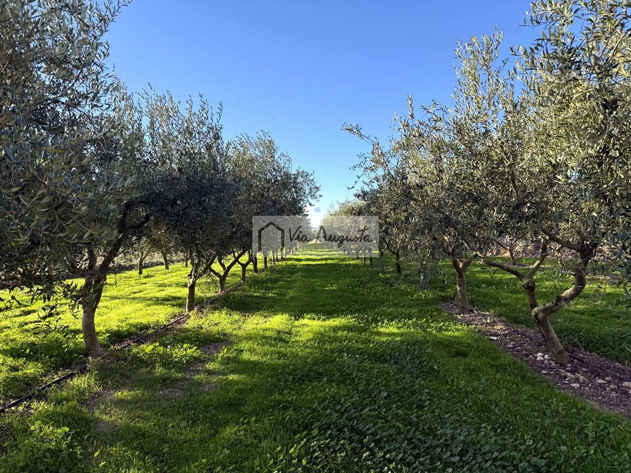 Mark till salu i Mora d'Ebre - 35 500 € (Ref: 9414783)