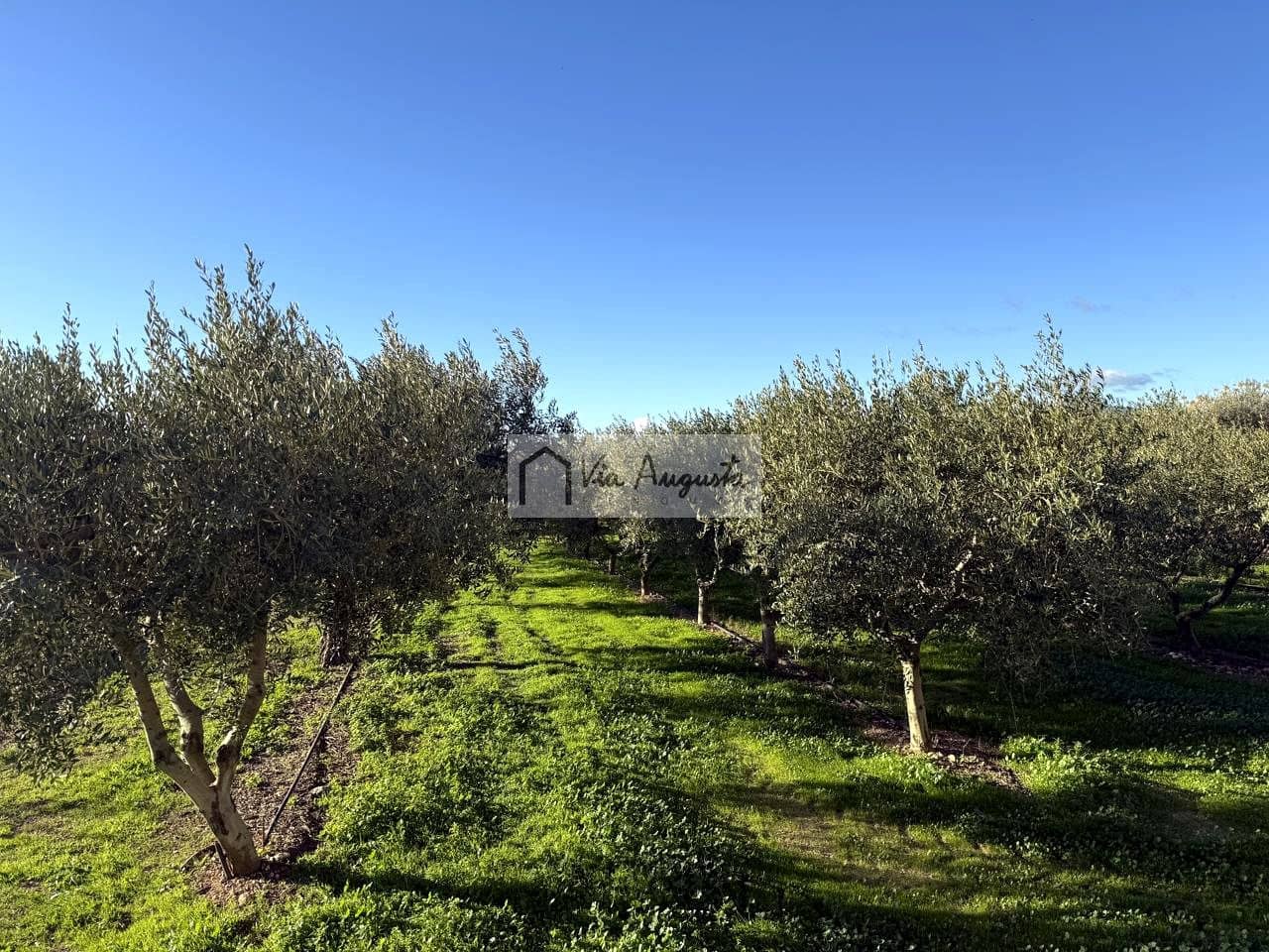 Mark till salu i Mora d'Ebre - 35 500 € (Ref: 9414783)