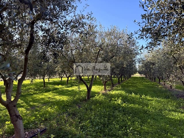 Undeveloped Land for sale in Móra d'Ebre - € 35,500 (Ref: 9414783)