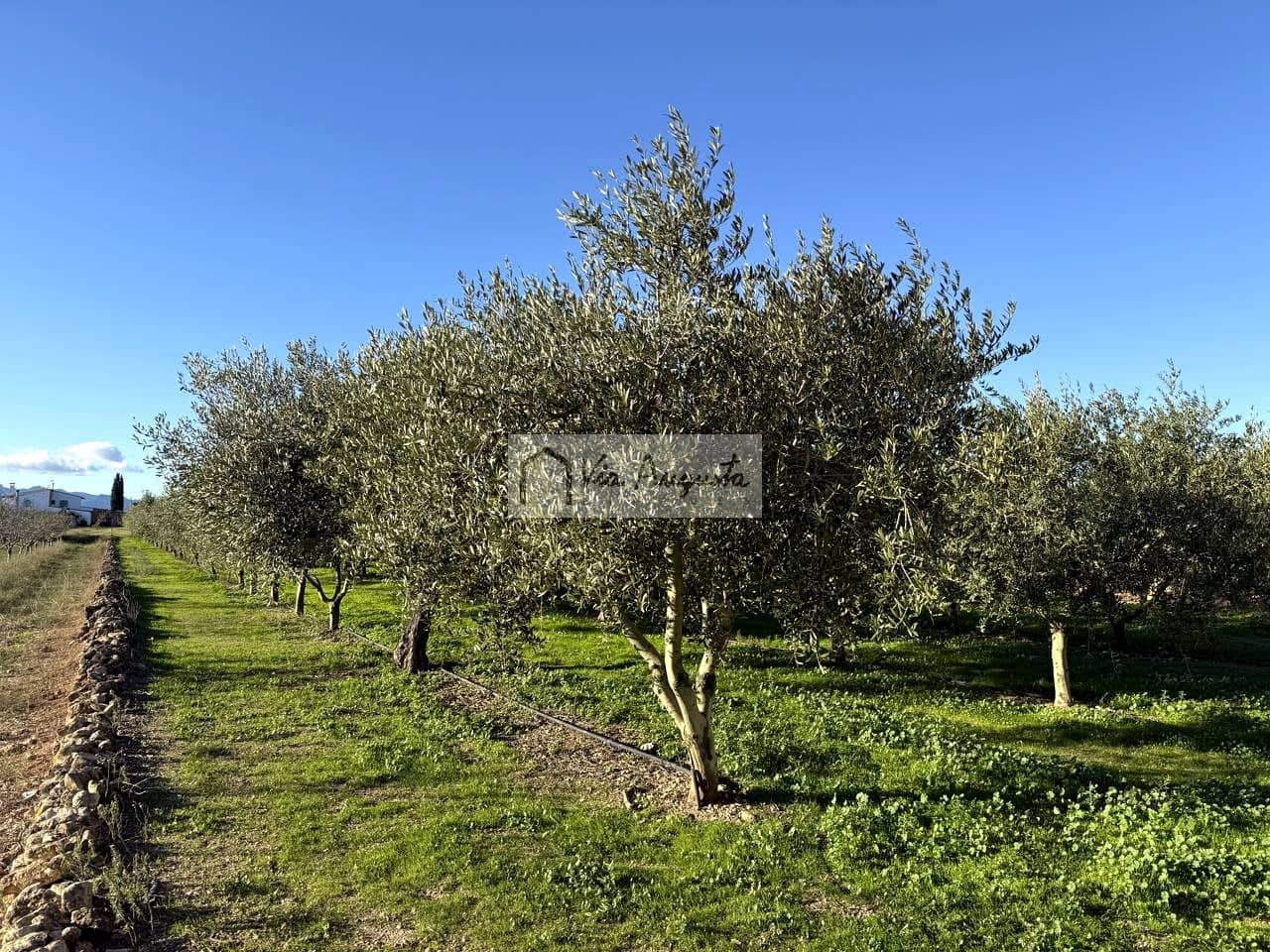 Mark till salu i Mora d'Ebre - 35 500 € (Ref: 9414783)