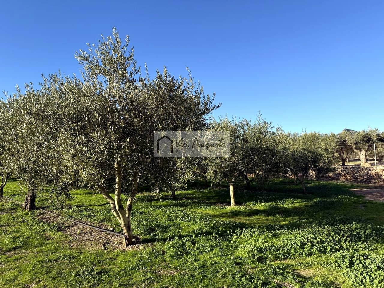 Mark till salu i Mora d'Ebre - 35 500 € (Ref: 9414783)