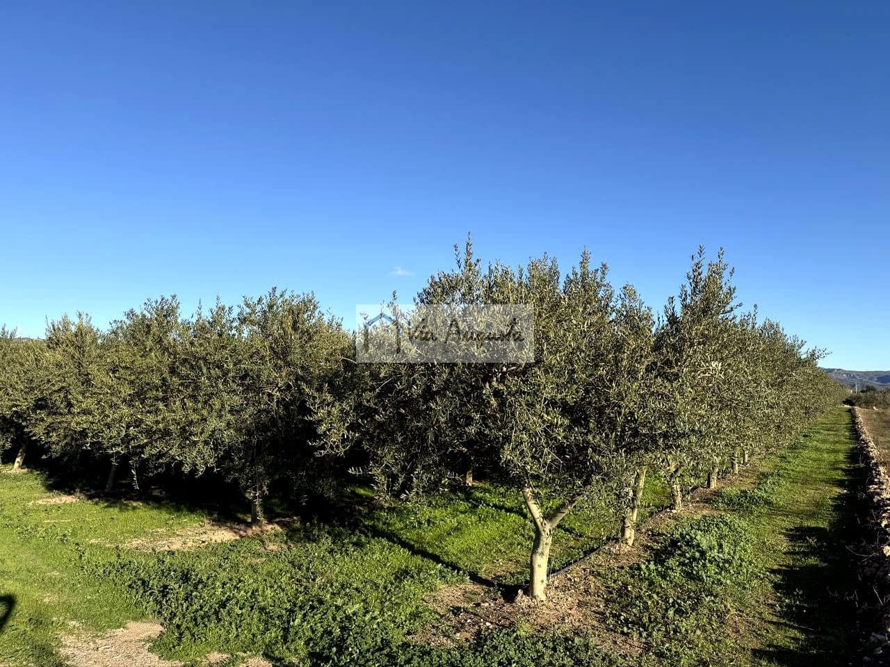 Mark till salu i Mora d'Ebre - 35 500 € (Ref: 9414783)