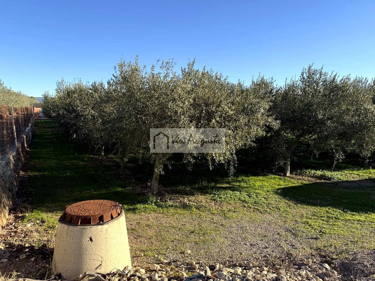 Mark till salu i Mora d'Ebre - 35 500 € (Ref: 9414783)