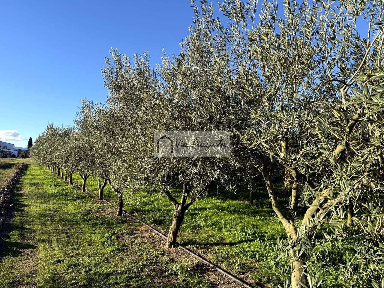 Mark till salu i Mora d'Ebre - 35 500 € (Ref: 9414783)