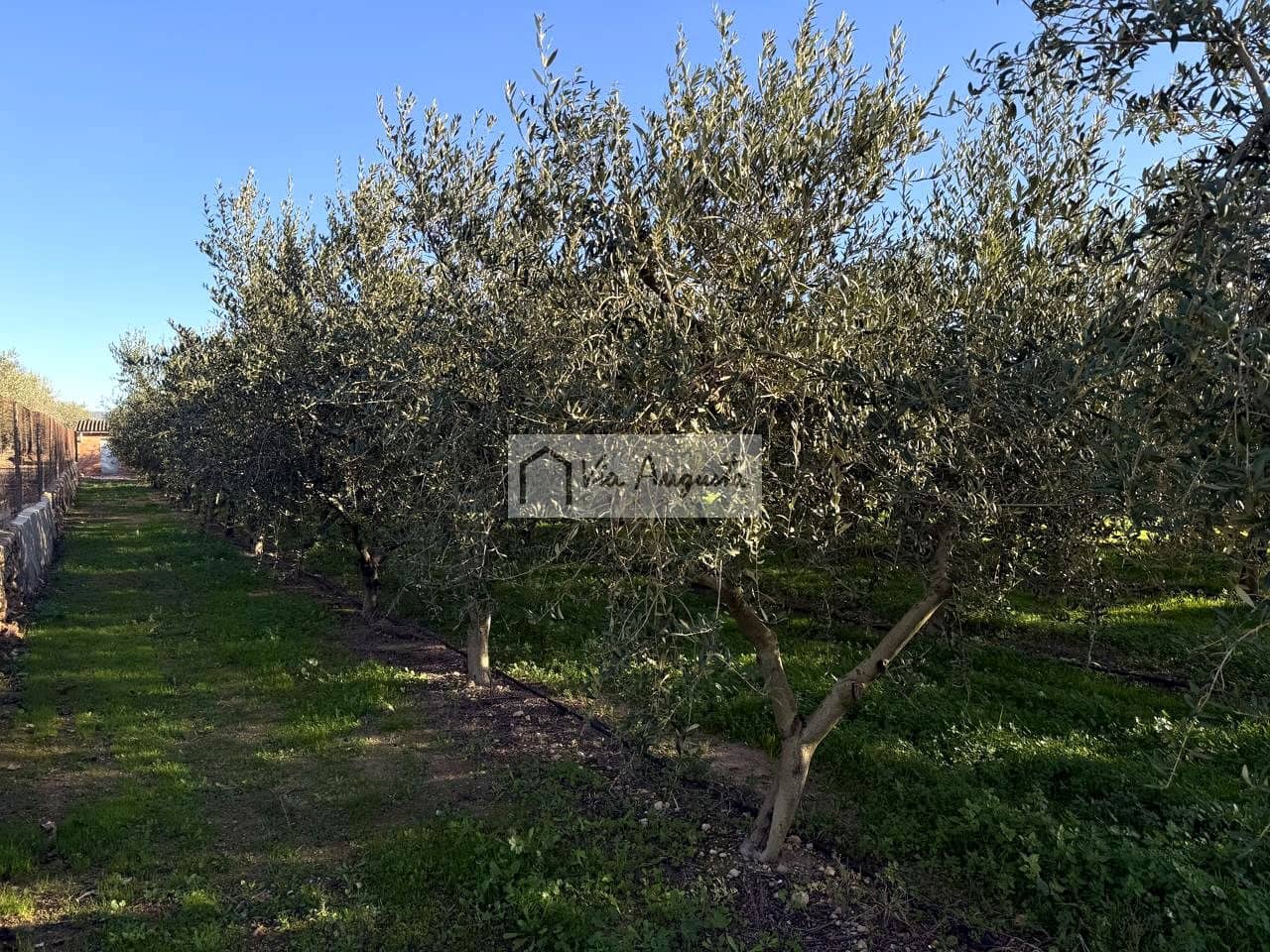 Mark till salu i Mora d'Ebre - 35 500 € (Ref: 9414783)