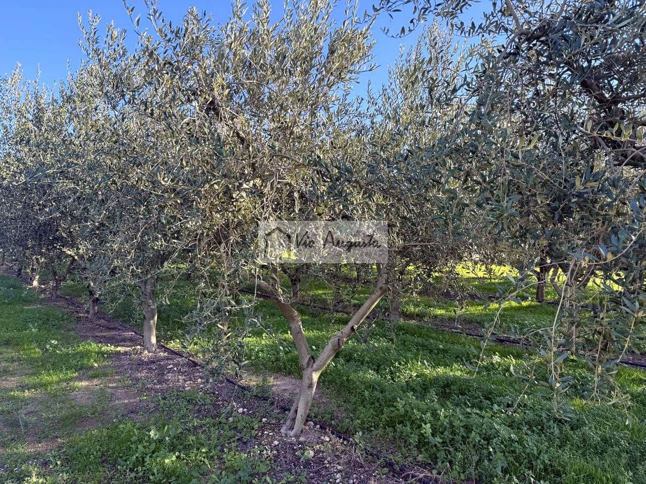 Mark till salu i Mora d'Ebre - 35 500 € (Ref: 9414783)