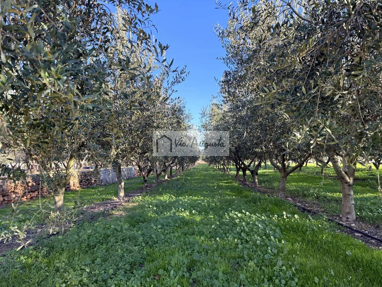 Mark till salu i Mora d'Ebre - 35 500 € (Ref: 9414783)