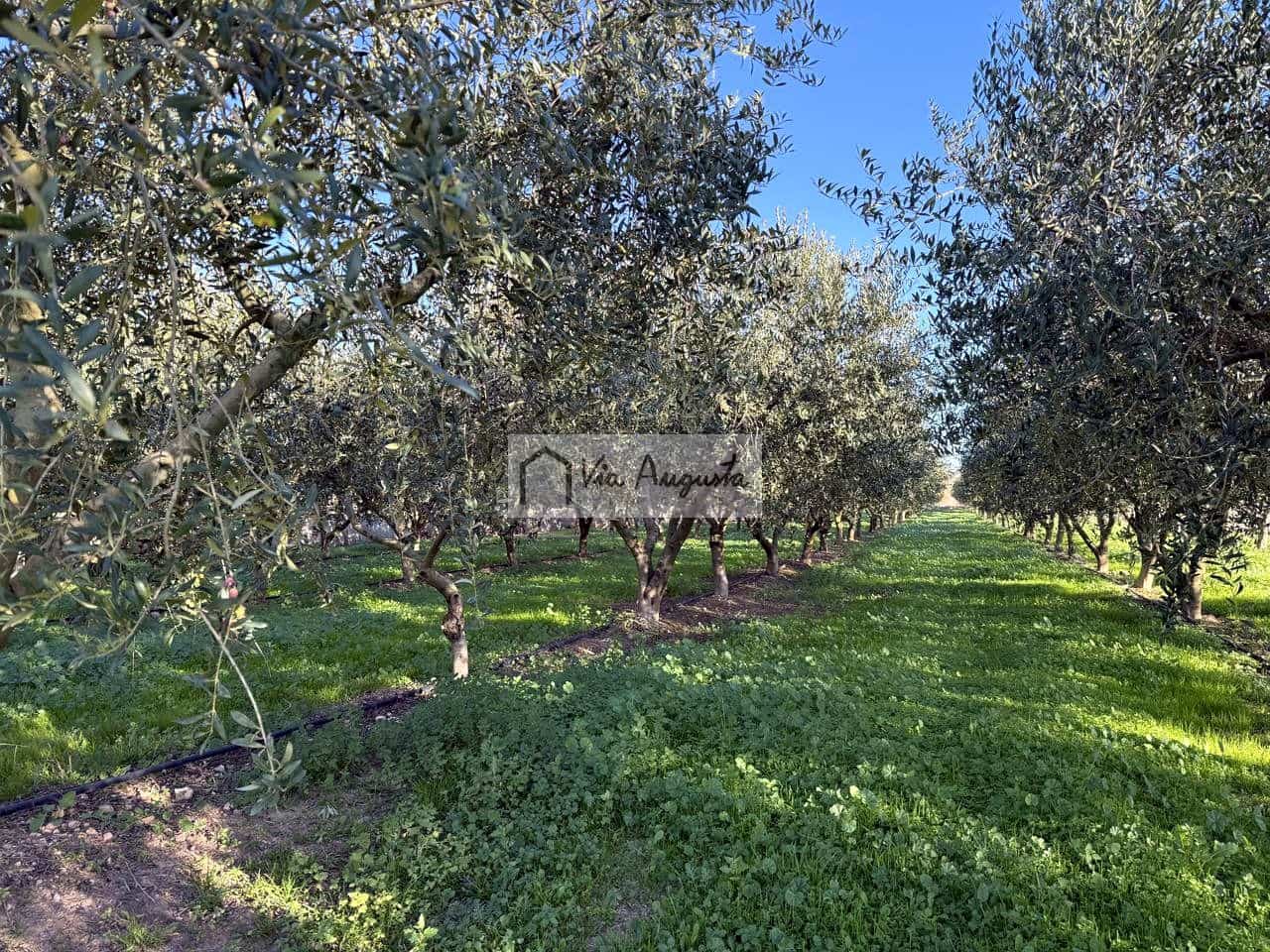 Mark till salu i Mora d'Ebre - 35 500 € (Ref: 9414783)