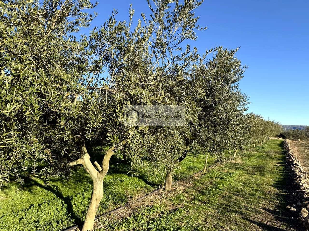 Mark till salu i Mora d'Ebre - 35 500 € (Ref: 9414783)