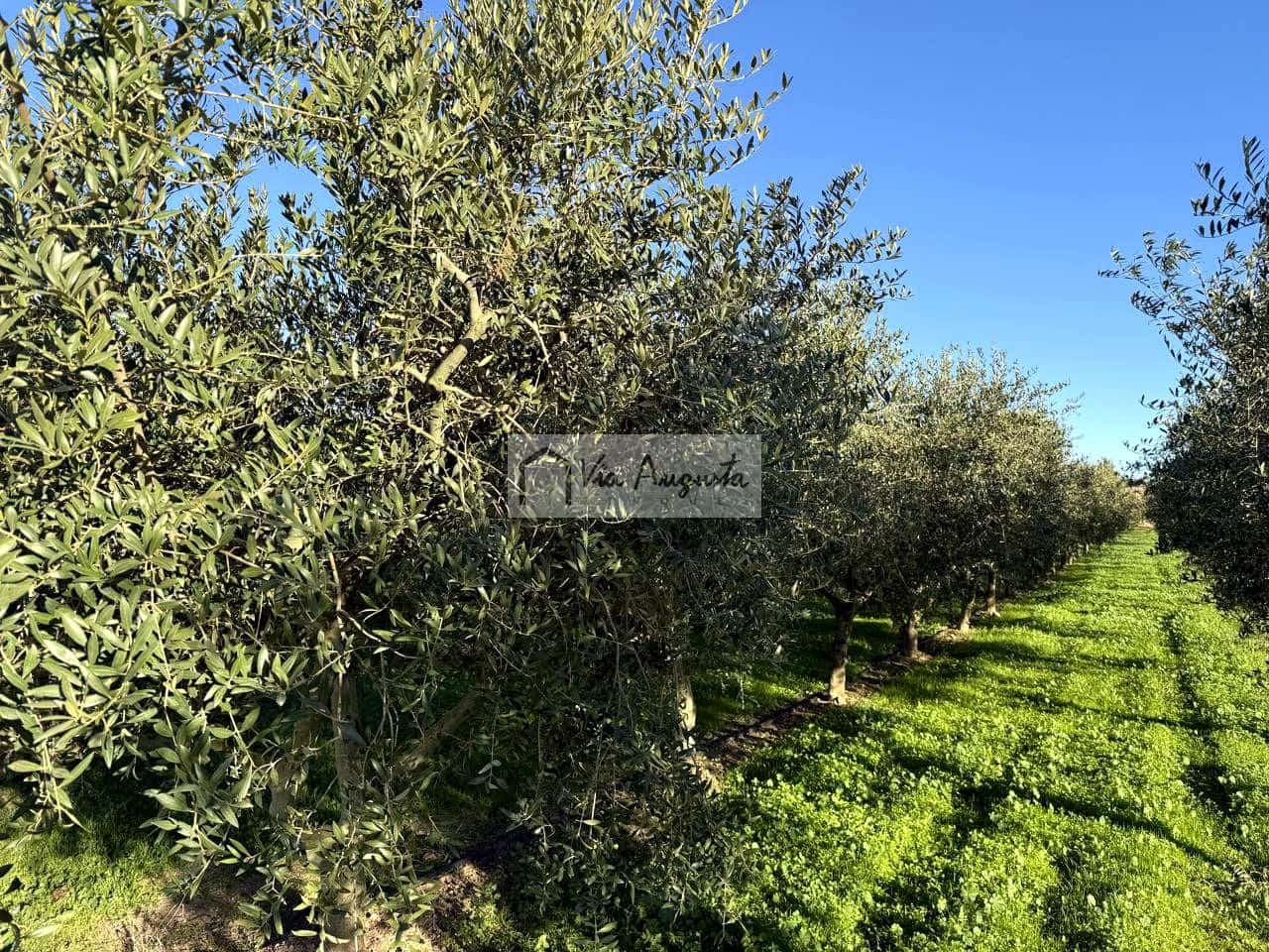 Mark till salu i Mora d'Ebre - 35 500 € (Ref: 9414783)