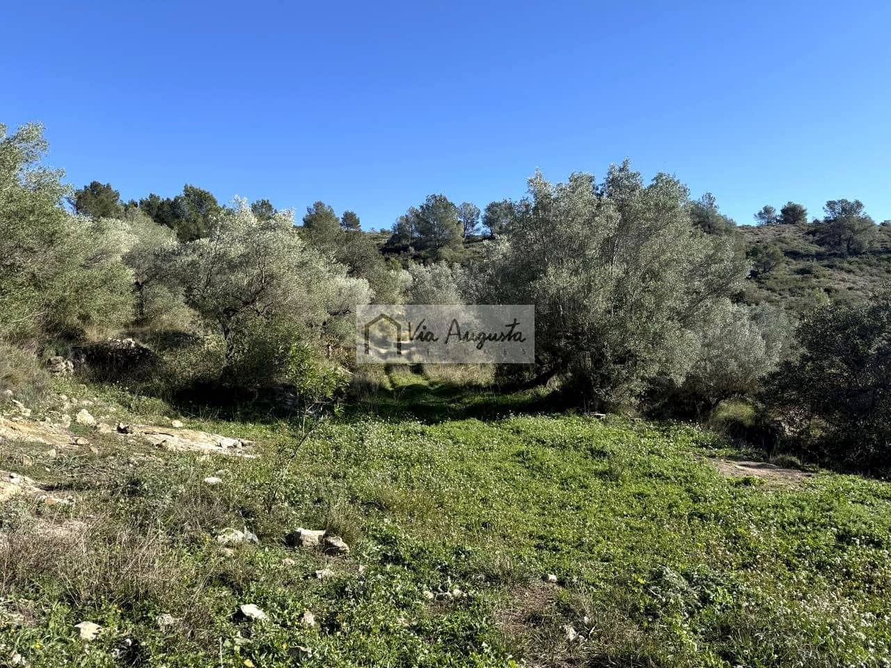 Grond te koop in El Perello - € 69.000 (Ref: 9469006)