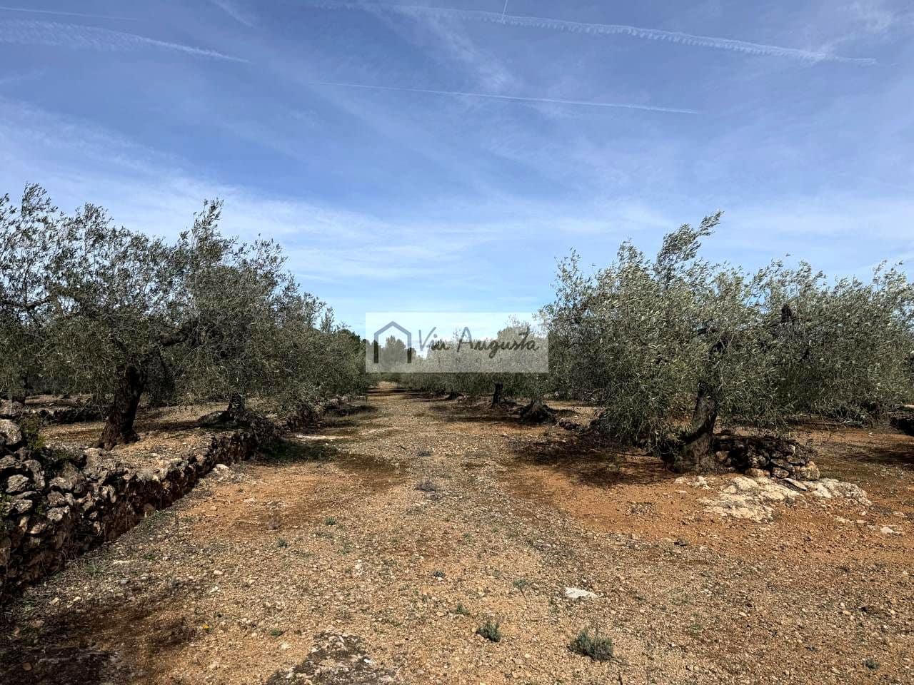 Finca/Casa Rural de 1 habitación en El Perelló en venta - 100.000 € (Ref: 9622953)