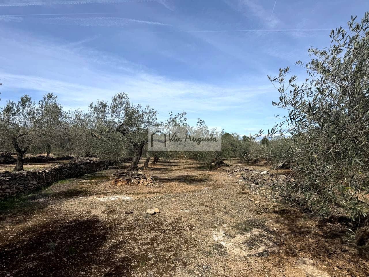 Finca/Casa Rural de 1 habitación en El Perelló en venta - 100.000 € (Ref: 9622953)