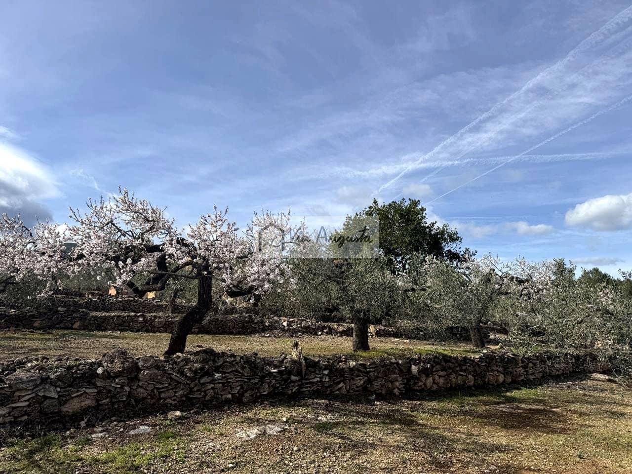 Finca/Casa Rural de 1 habitación en El Perelló en venta - 100.000 € (Ref: 9622953)