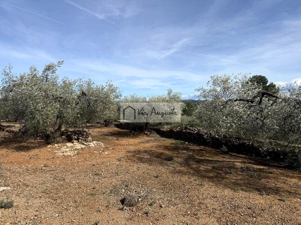Finca/Casa Rural de 1 habitación en El Perelló en venta - 100.000 € (Ref: 9622953)