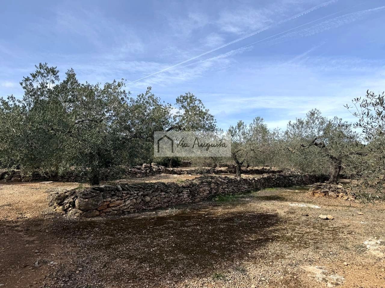 Finca/Casa Rural de 1 habitación en El Perelló en venta - 100.000 € (Ref: 9622953)