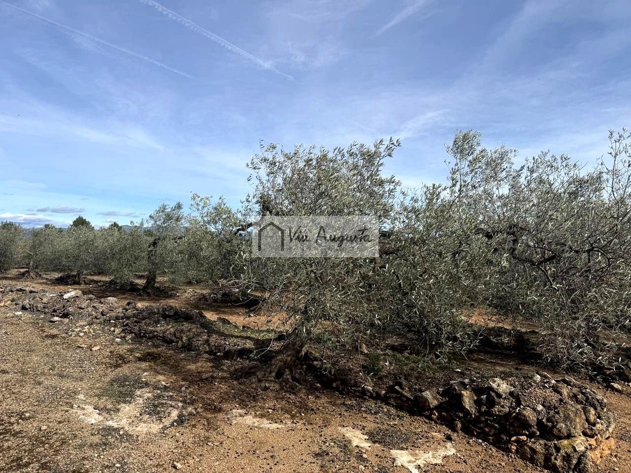 Finca/Casa Rural de 1 habitación en El Perelló en venta - 100.000 € (Ref: 9622953)