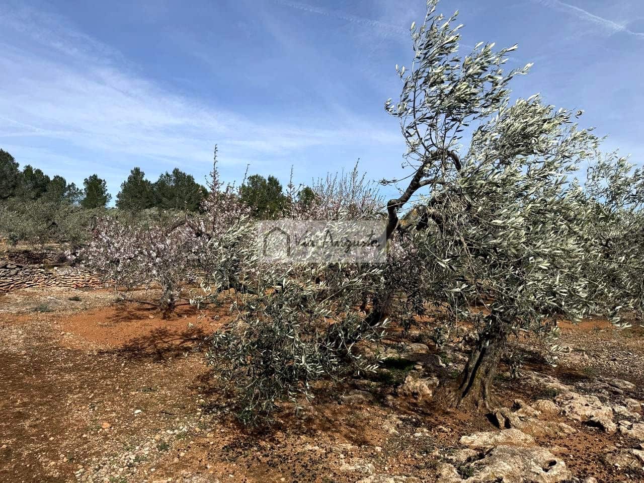 Finca/Casa Rural de 1 habitación en El Perelló en venta - 100.000 € (Ref: 9622953)