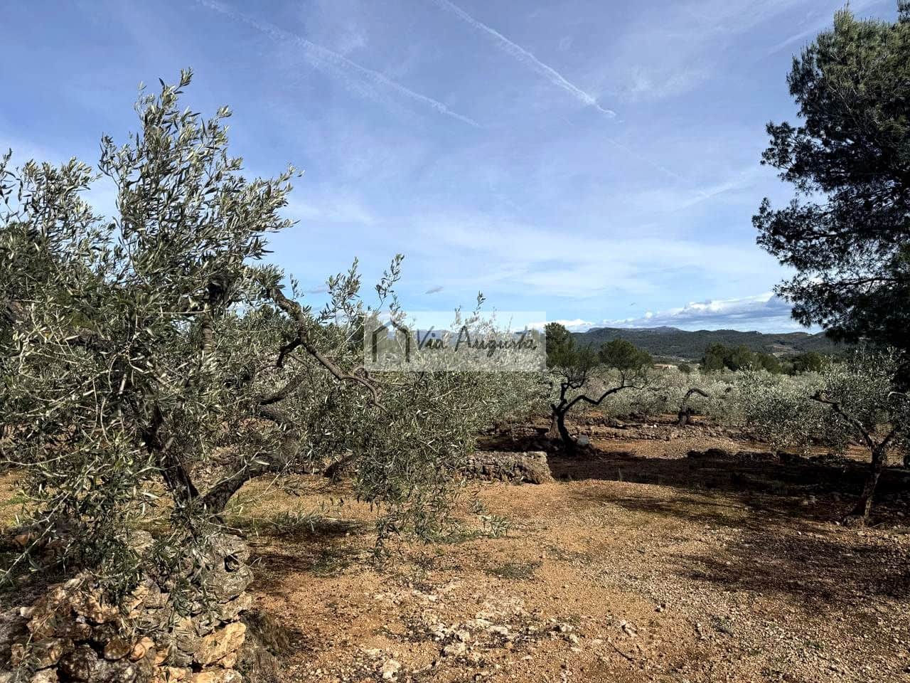Finca/Casa Rural de 1 habitación en El Perelló en venta - 100.000 € (Ref: 9622953)