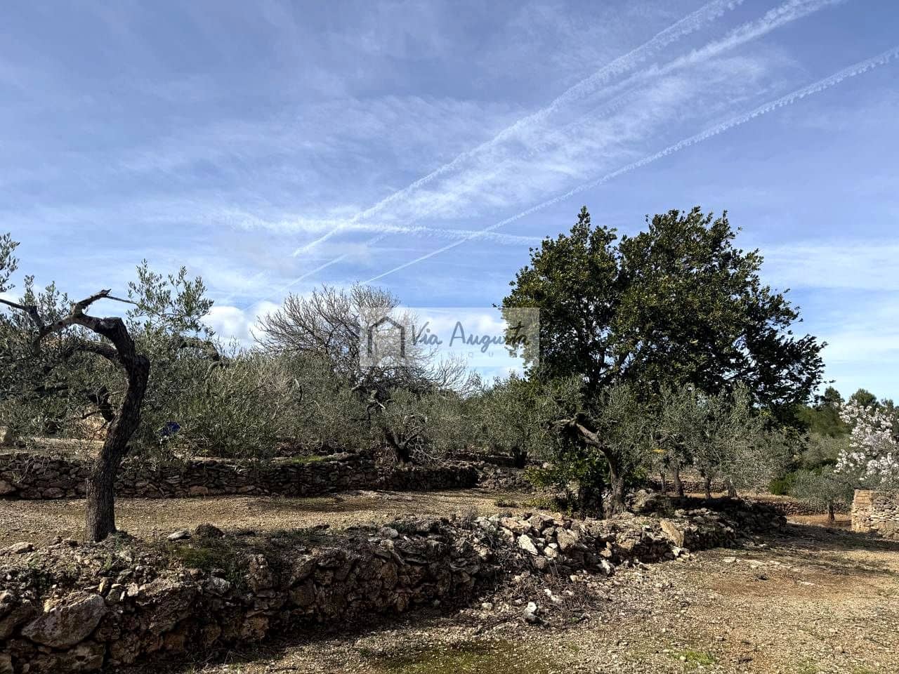 Finca/Casa Rural de 1 habitación en El Perelló en venta - 100.000 € (Ref: 9622953)