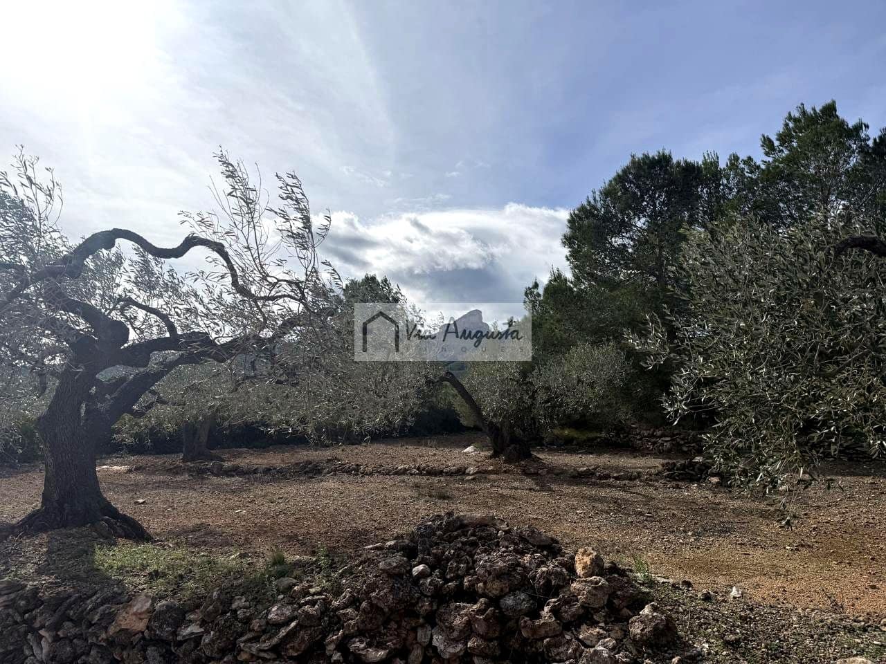 Finca/Casa Rural de 1 habitación en El Perelló en venta - 100.000 € (Ref: 9622953)