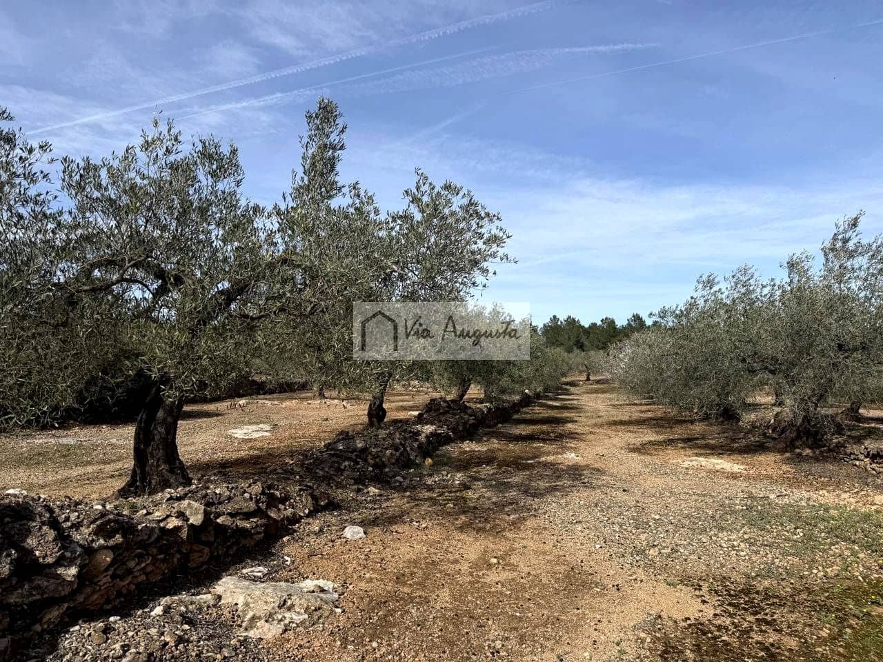 Finca/Casa Rural de 1 habitación en El Perelló en venta - 100.000 € (Ref: 9622953)