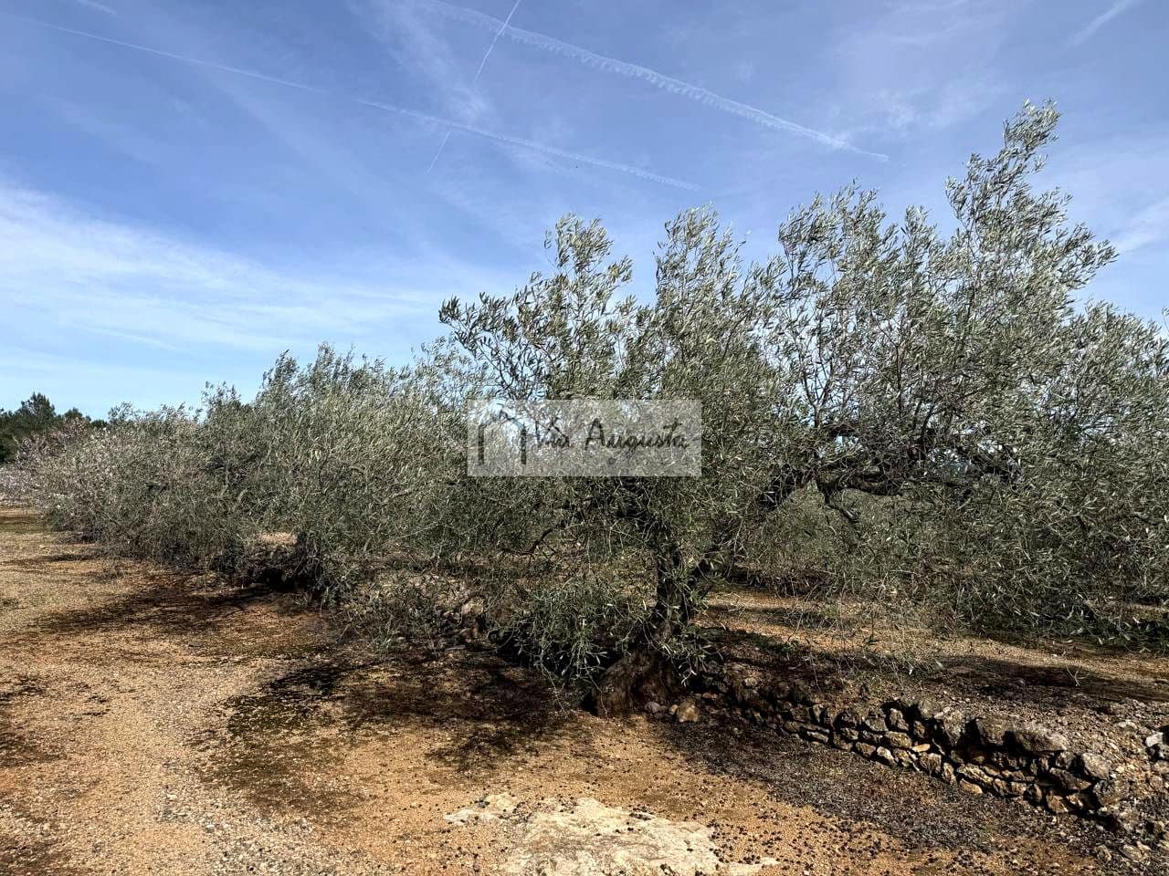 Finca/Casa Rural de 1 habitación en El Perelló en venta - 100.000 € (Ref: 9622953)