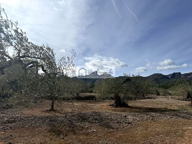 Undeveloped Land for sale in El Perelló - € 50,000 (Ref: 9622954)