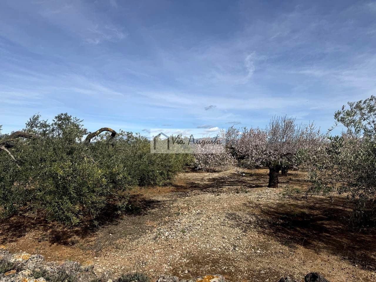 Undeveloped Land for sale in El Perello - € 50,000 (Ref: 9622954)