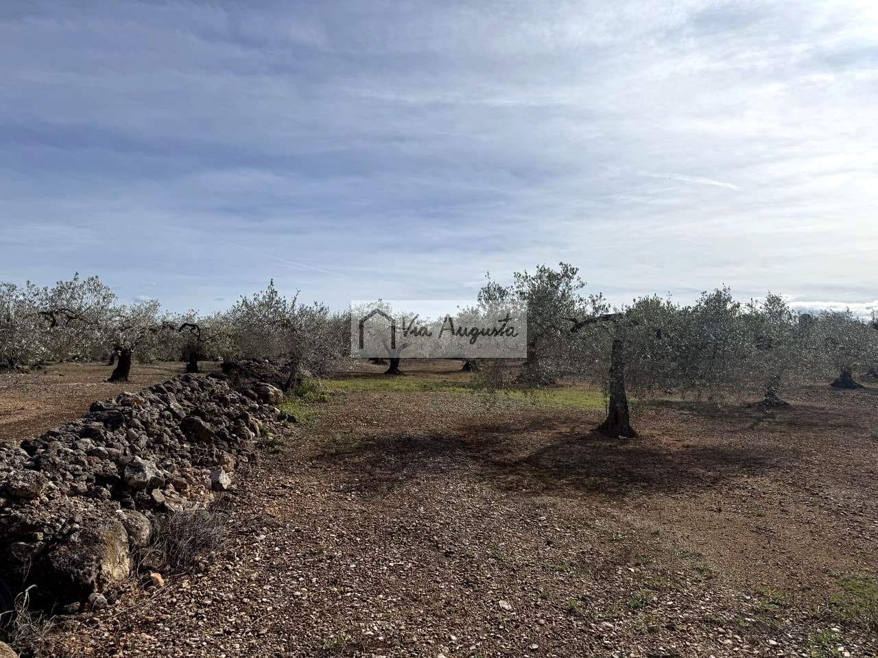 Undeveloped Land for sale in El Perello - € 50,000 (Ref: 9622954)