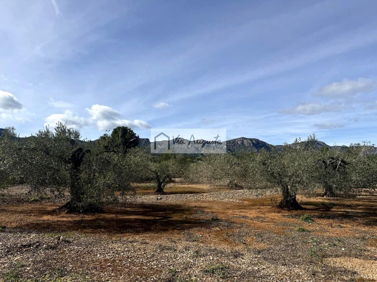 Undeveloped Land for sale in El Perello - € 50,000 (Ref: 9622954)