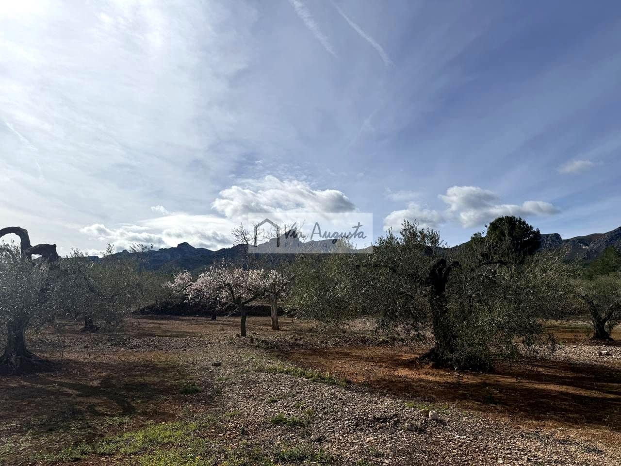 Undeveloped Land for sale in El Perello - € 50,000 (Ref: 9622954)