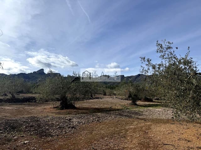 Undeveloped Land for sale in El Perelló - € 50,000 (Ref: 9622954)
